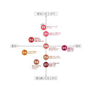 [CEZANNE] Watery Tint Lip Plum Red 05