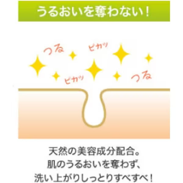 [DHC] Cleansing Oil 200ml